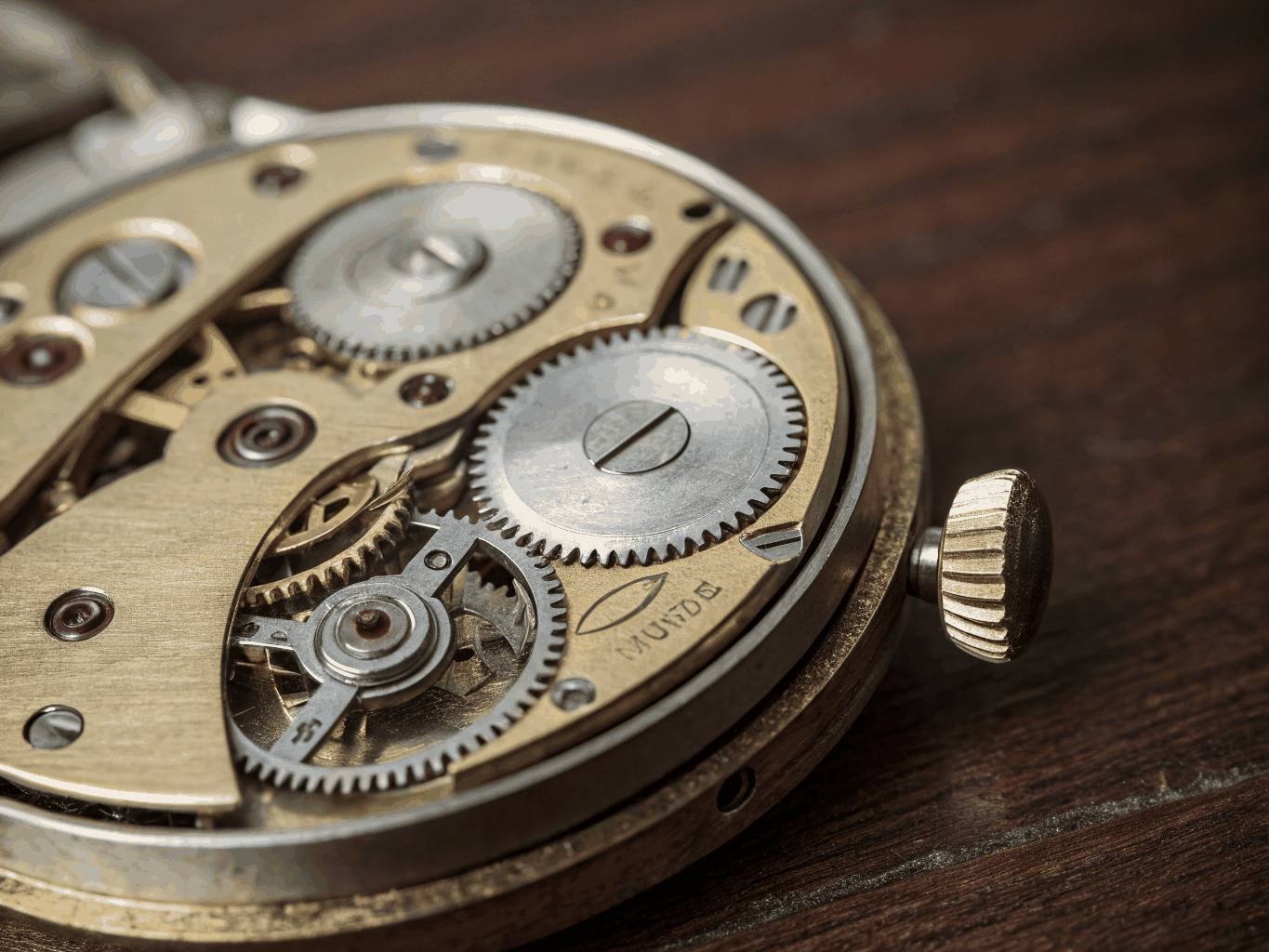 Microscopic inspection of authentic mechanical watch movement escapement